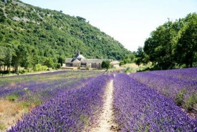 Atout destination Provence de l'espace Aixagone près d'Aix en Provence